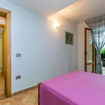 Agrifoglio By Interhome Lamporecchio